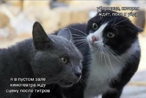 Уборщица ждёт после титров
