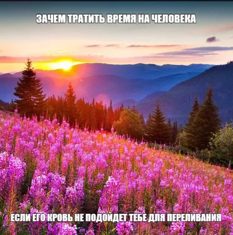 Кровь не подходит для переливания
