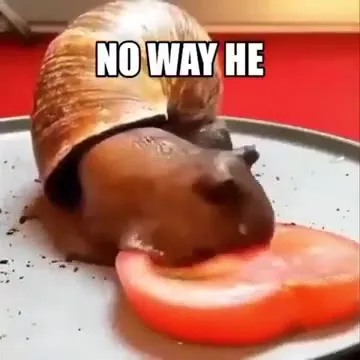 No Way He Eats the Tomato