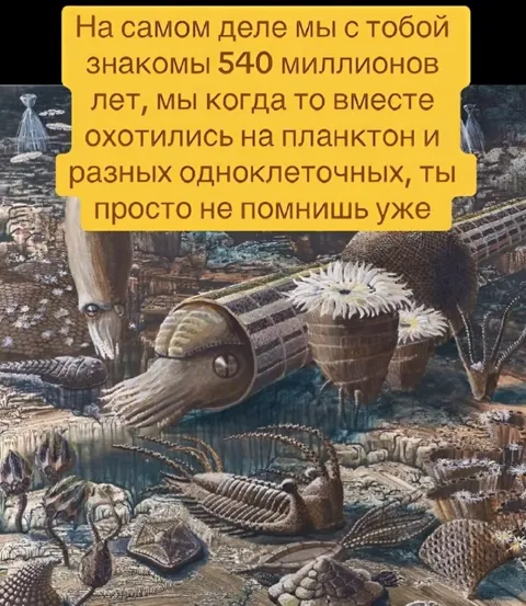 Знакомы 540 миллионов лет