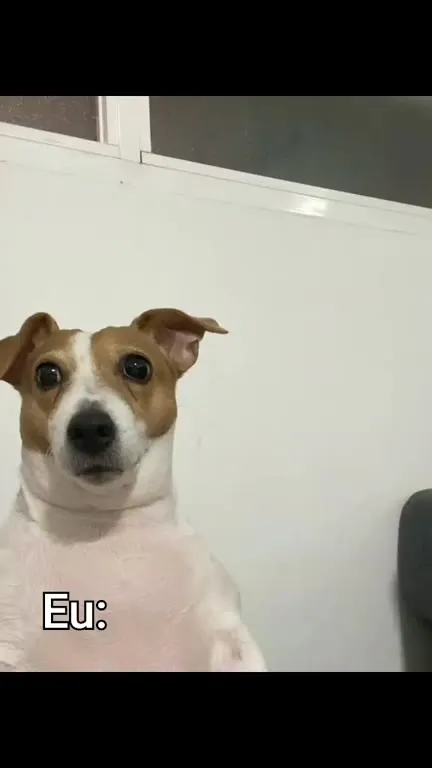 Eu tentando entender a situação