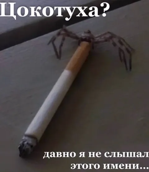 Цокотуха давно не слышал