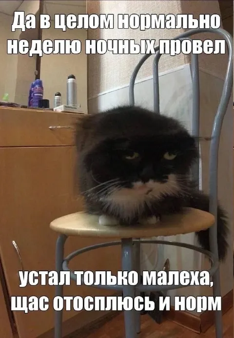 Неделю ночных провёл