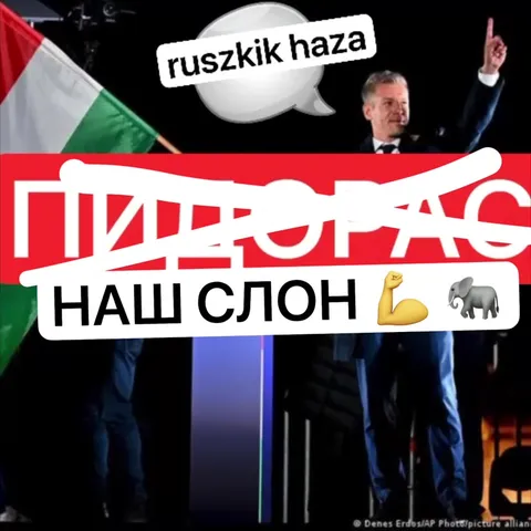 Наш слон вместо пидораса