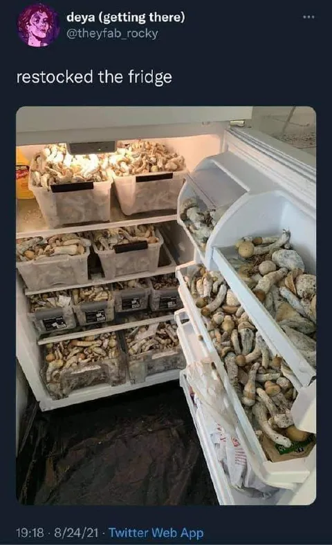 Restocked the Fridge