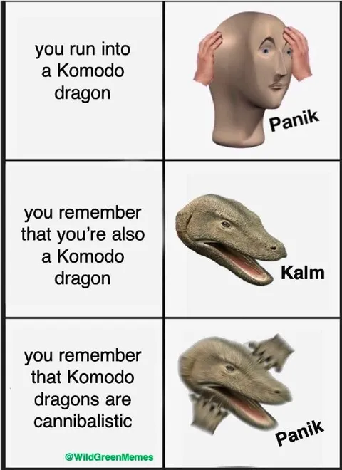 Komodo Dragon Panic Calm Panic