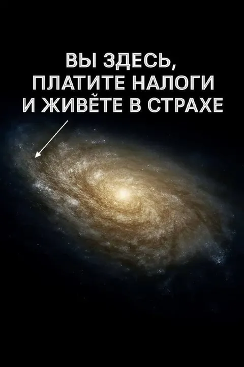 Вы здесь, платите налоги