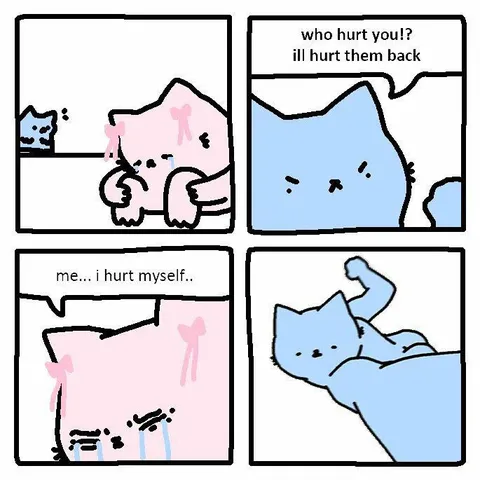 Cat Hurt Himself