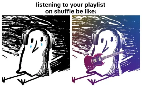 Playlist Shuffle Be Like