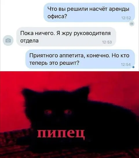Кот съел руководителя отдела