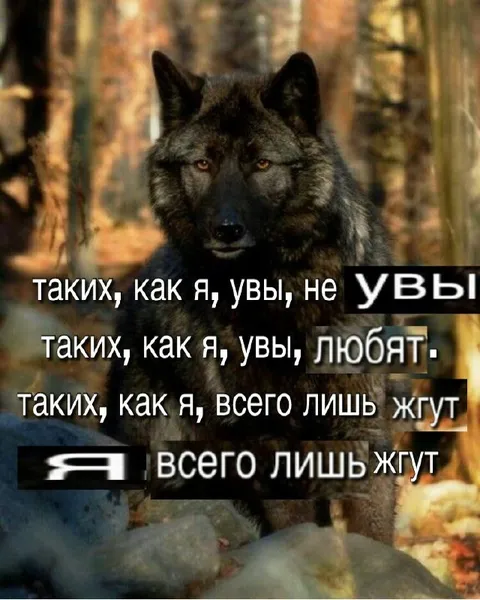 Таких, как я, всего лишь ждут