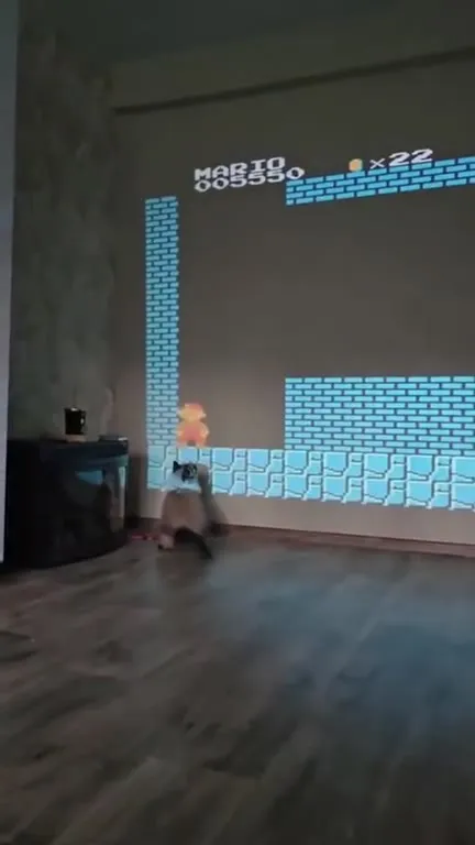 Кот проходит Super Mario