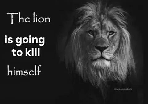 The Lion Will Kill Himself