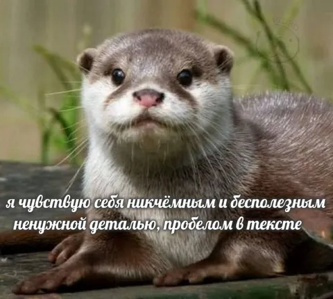 Никчёмная деталь в тексте