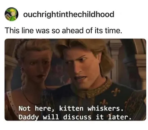 Not Here, Kitten Whiskers