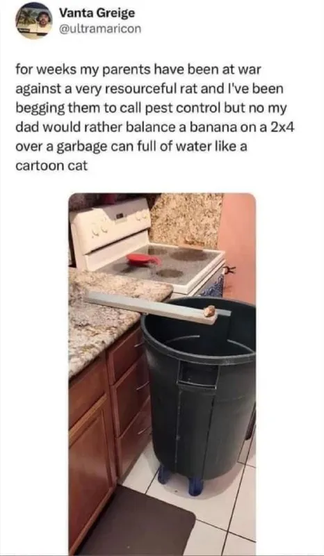 Dad’s Cartoon Cat Rat Trap
