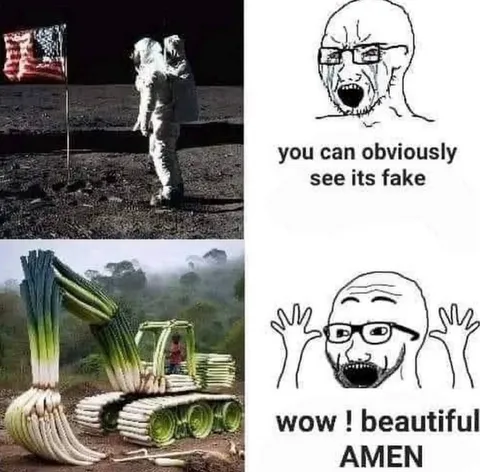 Fake Moon Landing Leek Tank