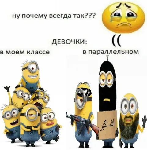 Девочки в моём классе и параллельном