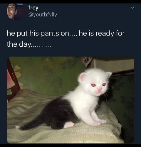 Ready for the Day
