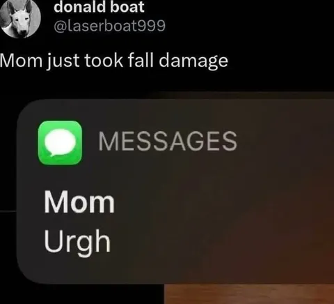 Mom Took Fall Damage