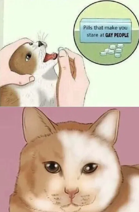 Cat Takes Gay-Staring Pills