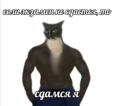 Если экзамен не сдастся