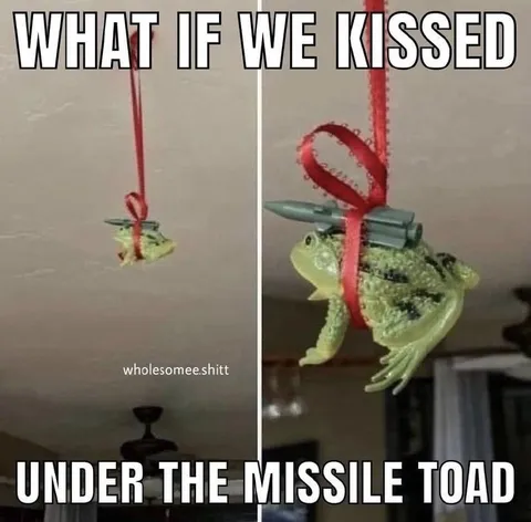 Frog Missile Kiss