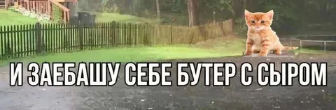 Бутерброд с сыром
