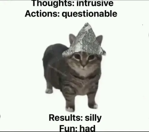 Intrusive Thoughts, Silly Results