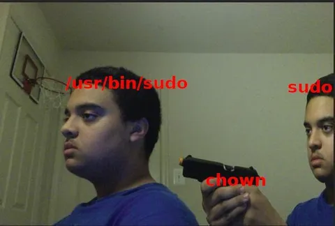 sudo chown Linux Meme