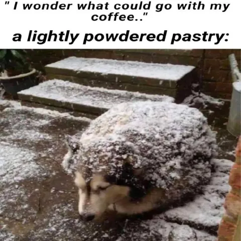 Lightly Powdered Pastry