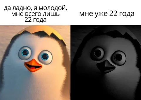 Мне уже 22 года