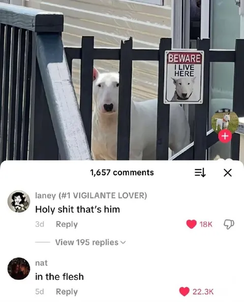 Holy Shit That’s Him