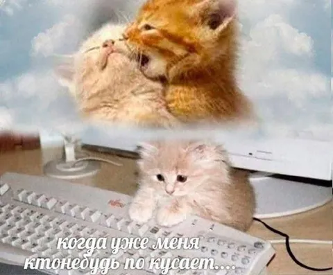 Когда уже меня кто-нибудь покусает