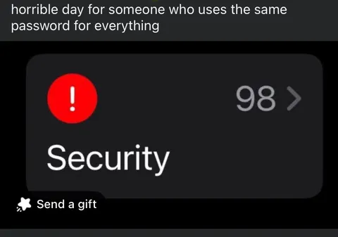 Same Password Security Nightmare
