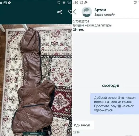Чехол для гитары из гомна