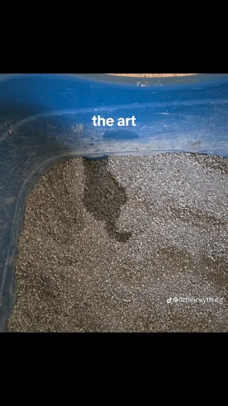 The Art in the Gravel