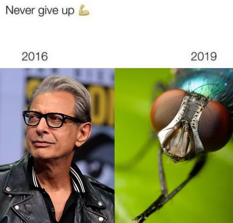Never Give Up Evolution