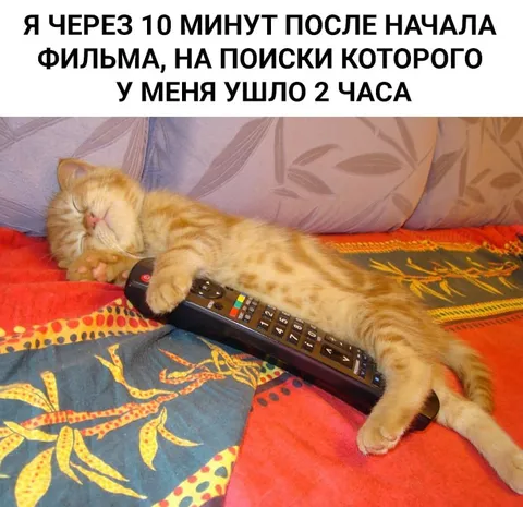 Кот ищет фильм два часа