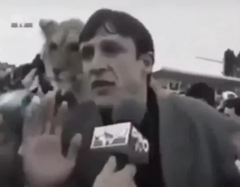 Interviu cu un leu mascotă