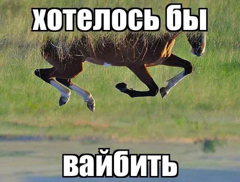 Хотелось бы вайбить