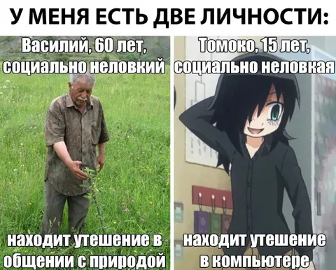 Две личности: Василий и Томоко