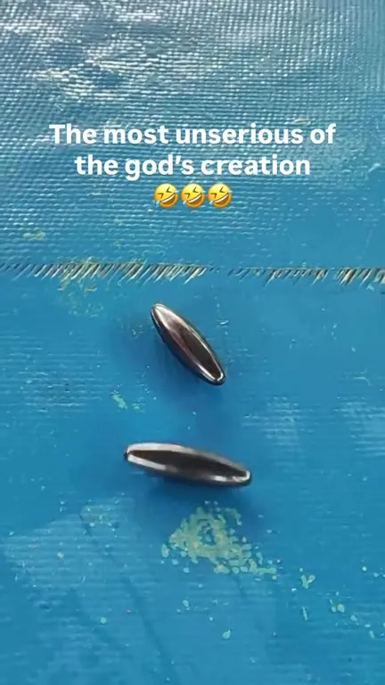 The Most Unserious Creation