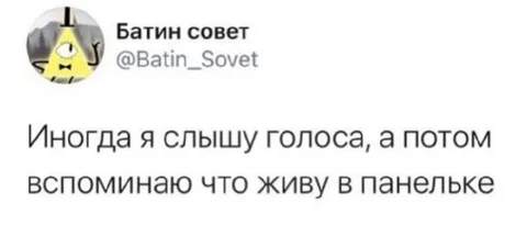Голоса в панельке