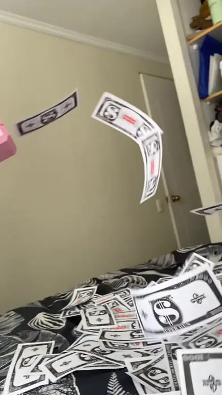 Cat Buried in Money