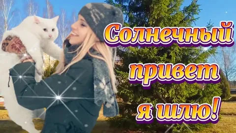 Добрым утром, солнечный привет
