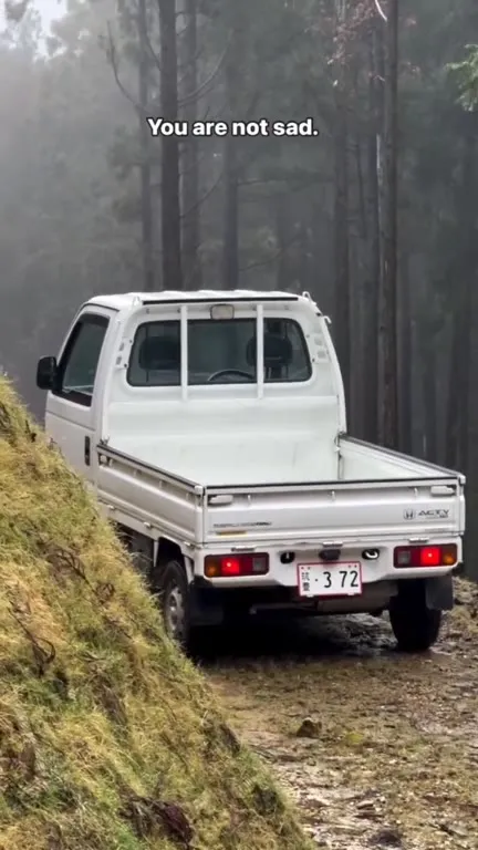 Buy a Mini Truck