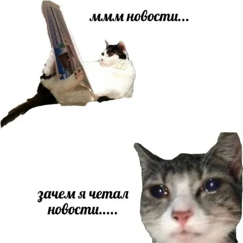 Зачем я читал новости