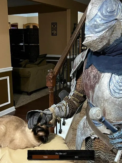 Pet the Cat? Yes or No
