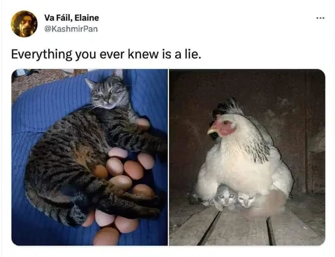 Everything You Knew Is a Lie